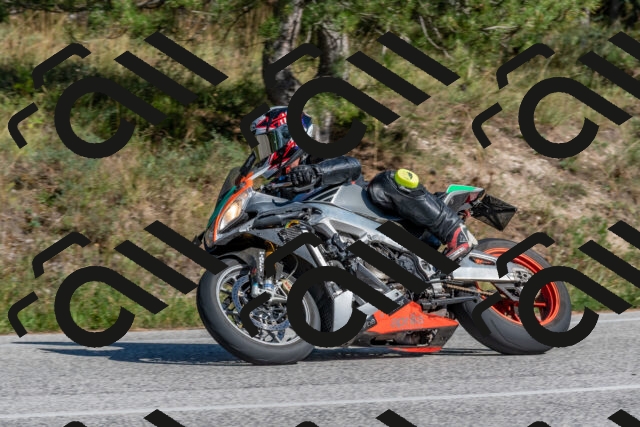 202509201519-DSC_3465_c4_