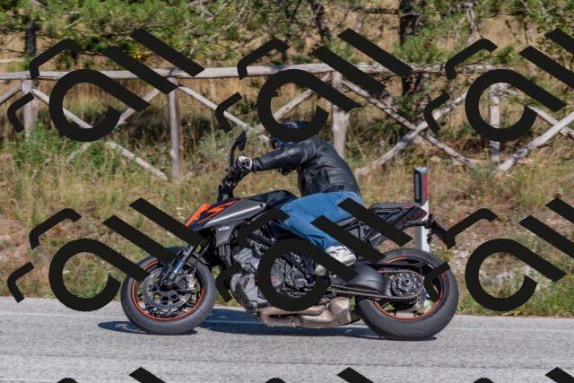 202509201526-DSC_3487_c4_