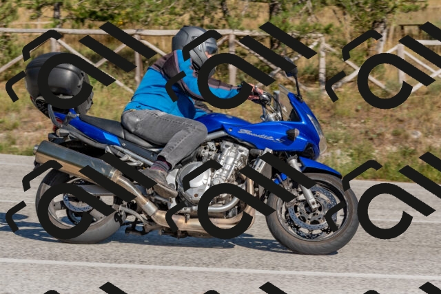 202509201531-DSC_3495_c4_