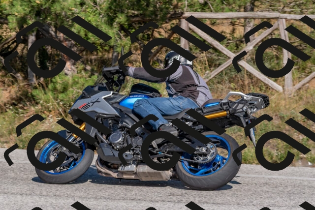 202509201532-DSC_3506_c4_