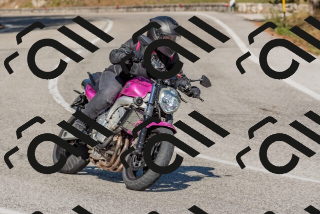 202509201534-DSC_3516_c4_