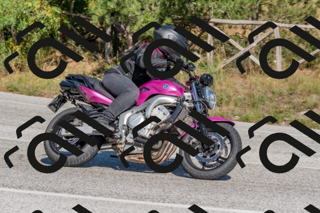 202509201534-DSC_3517_c4_