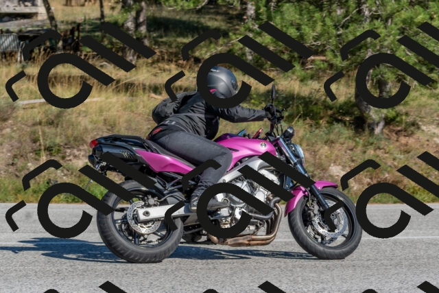 202509201534-DSC_3518_c4_