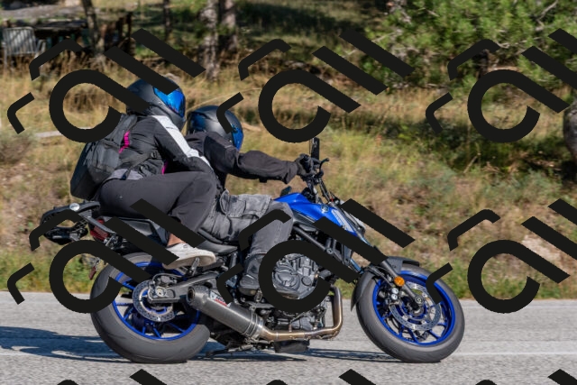 202509201536-DSC_3529_c4_