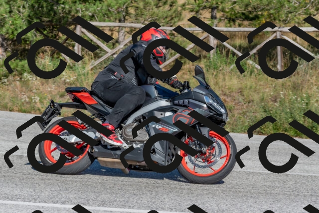 202509201537-DSC_3537_c4_