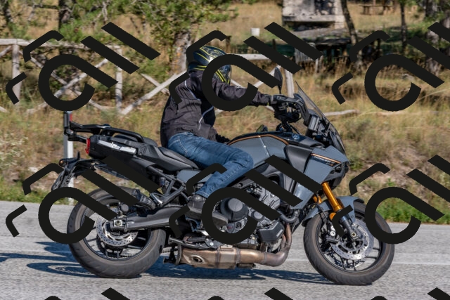 202509201537-DSC_3539_c4_