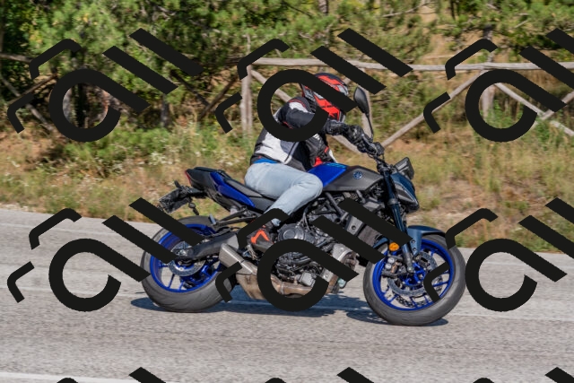 202509201537-DSC_3540_c4_