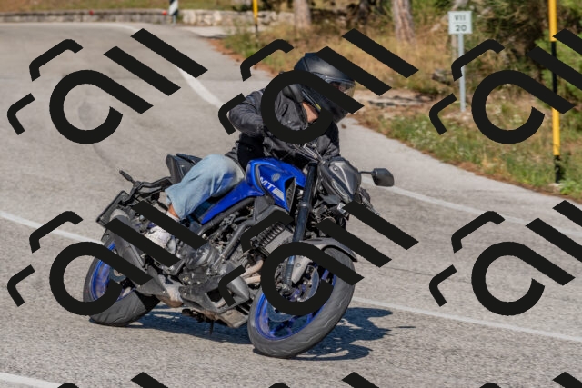 202509201539-DSC_3550_c4_