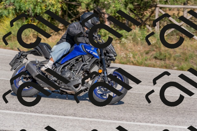 202509201539-DSC_3551_c4_