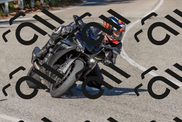 202509201540-DSC_3556_c4_