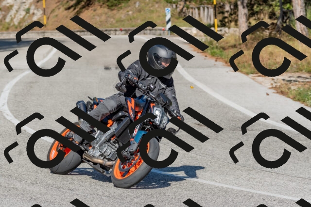 202509201540-DSC_3566_c4_