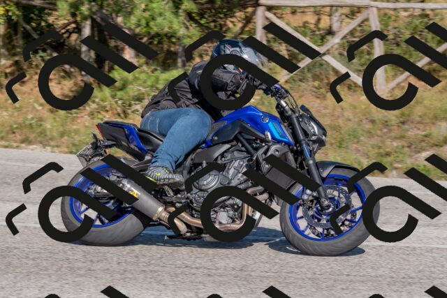 202509201540-DSC_3571_c4_