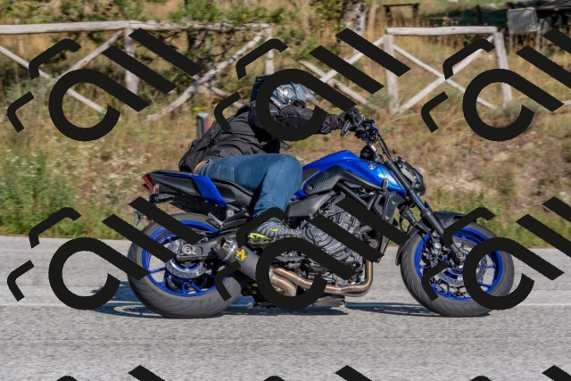 202509201540-DSC_3572_c4_