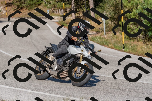 202509201541-DSC_3577_c4_