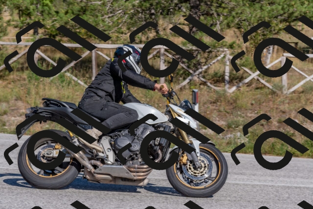 202509201541-DSC_3579_c4_