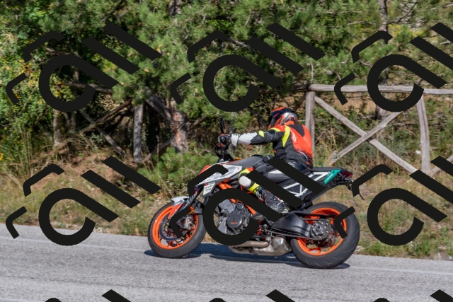 202509201542-DSC_3583_c4_