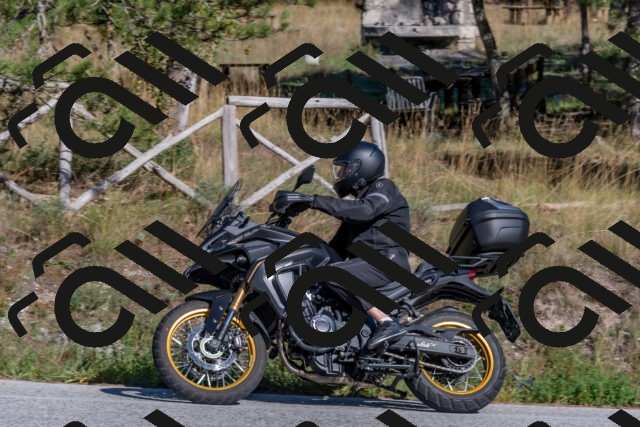 202509201542-DSC_3585_c4_