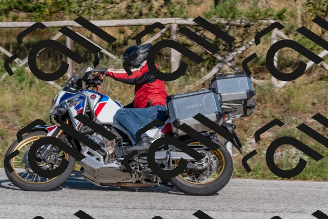 202509201549-DSC_3617_c4_