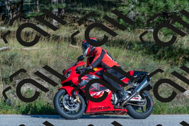 202509201550-DSC_3630_c4_