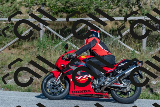 202509201550-DSC_3631_c4_