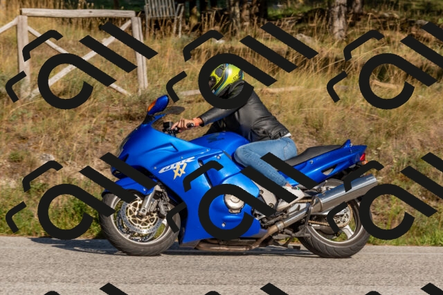 202509201550-DSC_3633_c4_