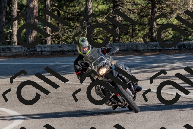 202509201552-DSC_3635_c4_