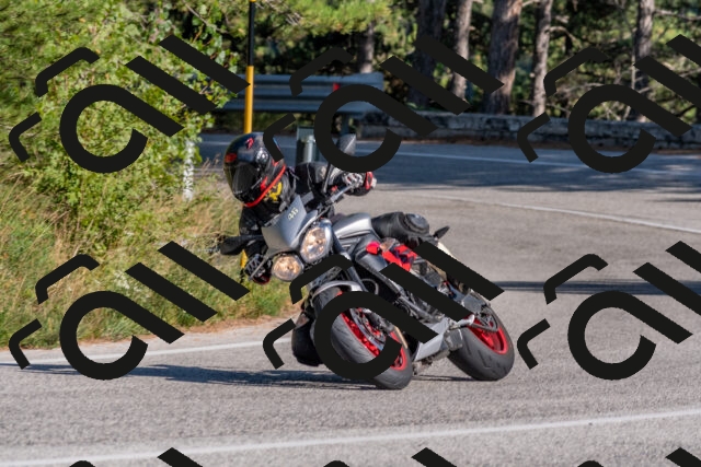 202509201555-DSC_3643_c4_