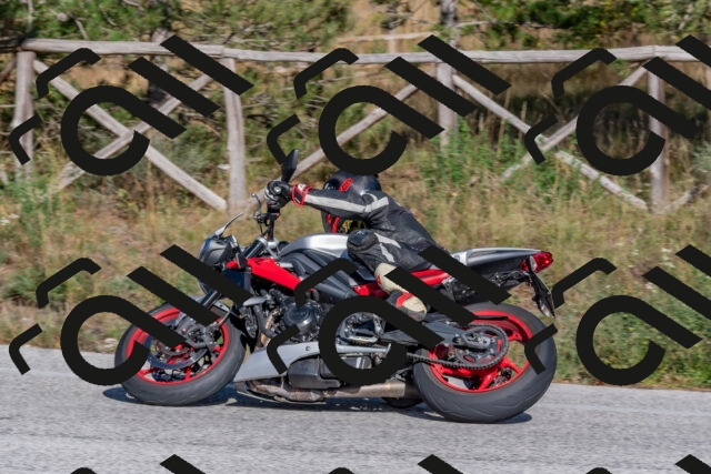 202509201555-DSC_3645_c4_