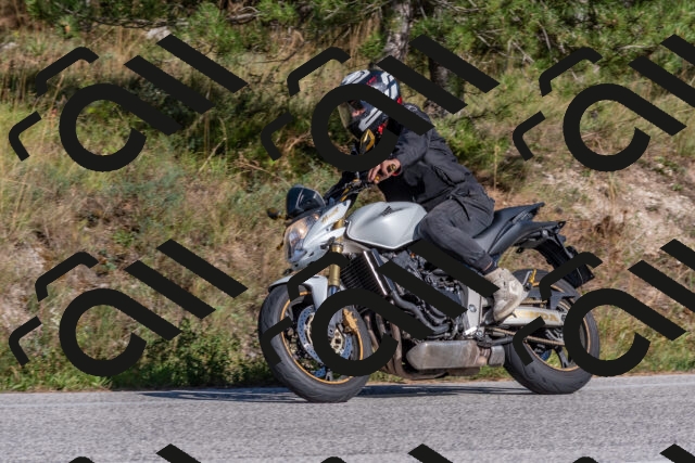 202509201555-DSC_3646_c4_