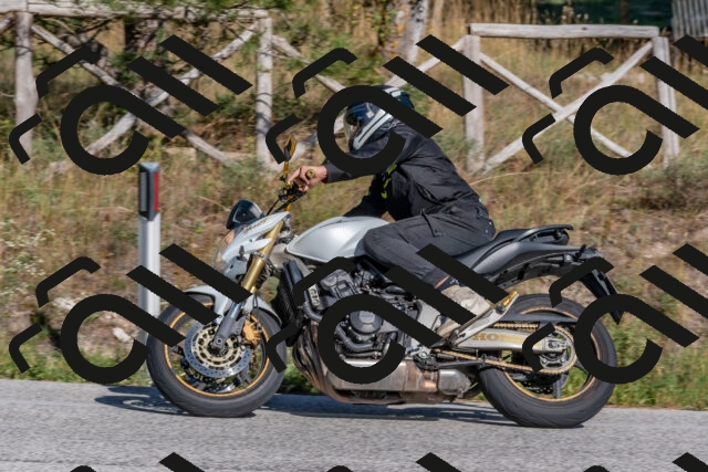 202509201555-DSC_3647_c4_