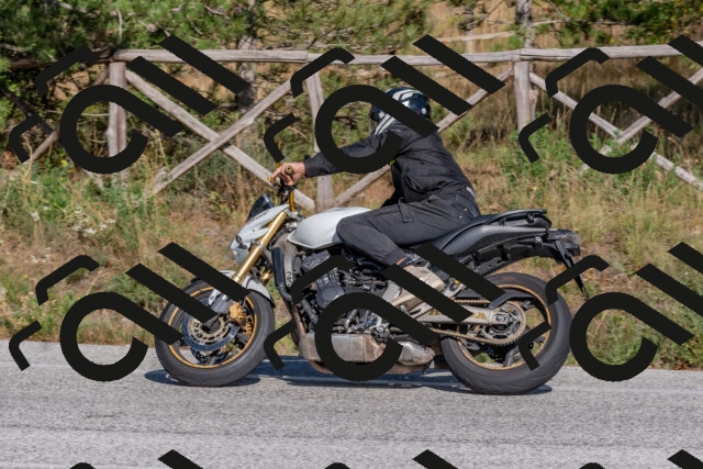 202509201555-DSC_3648_c4_