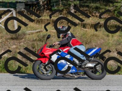 202509201555-DSC_3650_c4_