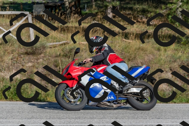 202509201555-DSC_3650_c4_