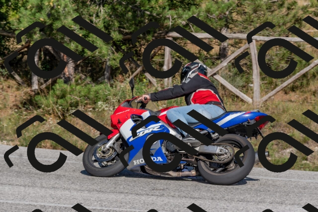 202509201555-DSC_3651_c4_