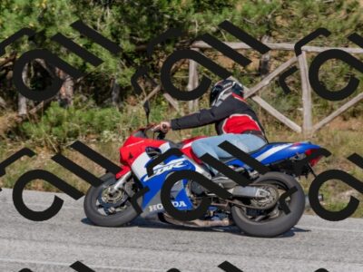 202509201555-DSC_3651_c4_