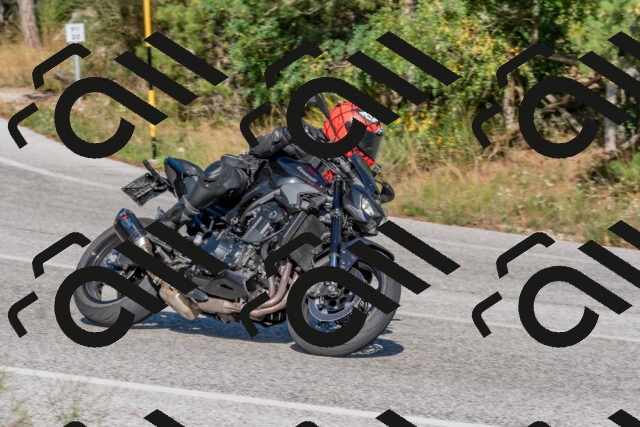 202509201556-DSC_3653_c4_