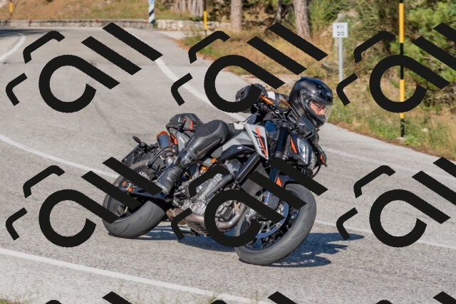 202509201556-DSC_3654_c4_