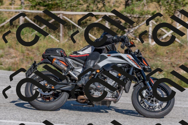 202509201556-DSC_3656_c4_