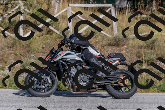 202509201609-DSC_3726_c4_