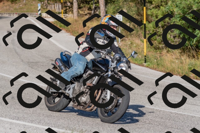 202509201609-DSC_3728_c4_