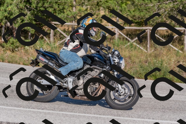 202509201609-DSC_3729_c4_