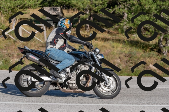 202509201609-DSC_3730_c4_