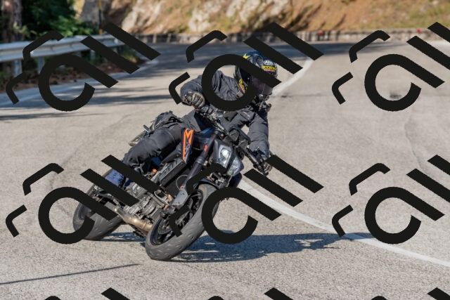 202509201612-DSC_3758_c4_