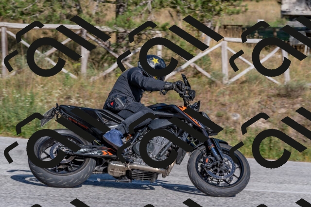 202509201612-DSC_3760_c4_