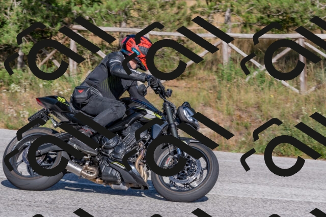 202509201613-DSC_3762_c4_