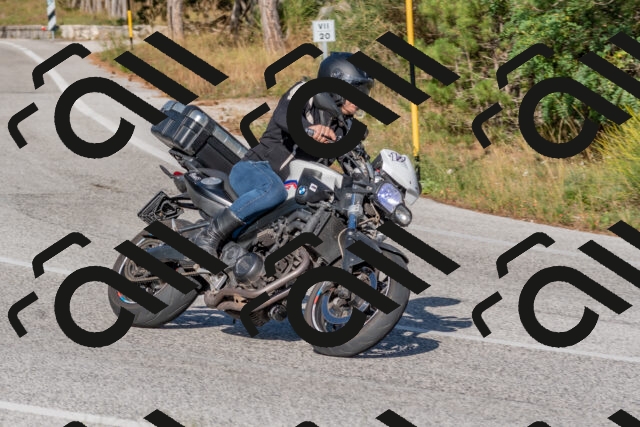 202509201615-DSC_3779_c4_