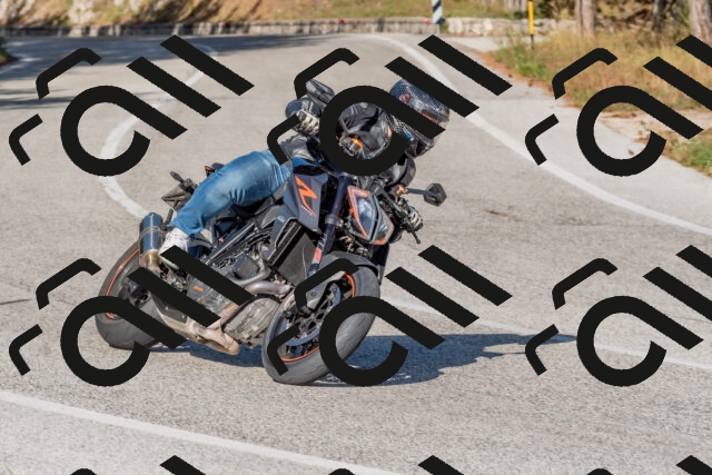 202509201616-DSC_3781_c4_