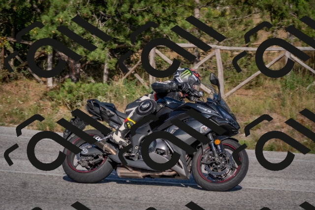 202509201619-DSC_3833_c4_