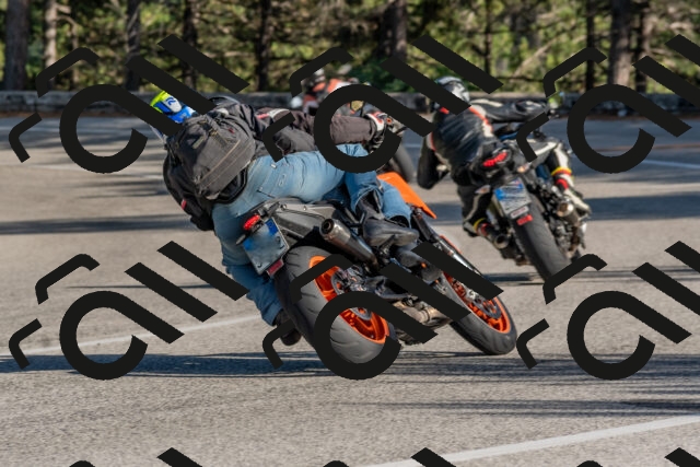 202509201619-DSC_3836_c4_