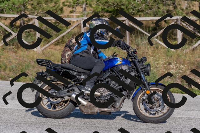 202509201620-DSC_3843_c4_